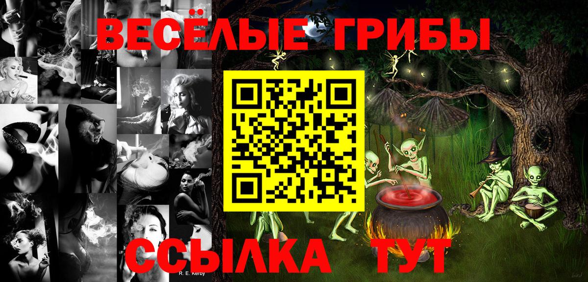 Галлюциногенные грибы Cubensis  Галлюциногенные грибы MAGIC MUSHROOMS  Тимашёвск  Вход с VPN 